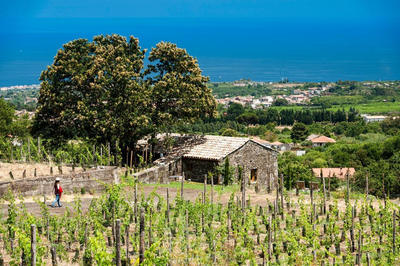 Monaci Delle Terre Nere Hotel Zafferana Etnea Ngoại thất bức ảnh